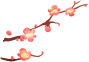塔孜 | 新年伊始，萬象更新，1月啟動(dòng)大會(huì)圓滿落幕！