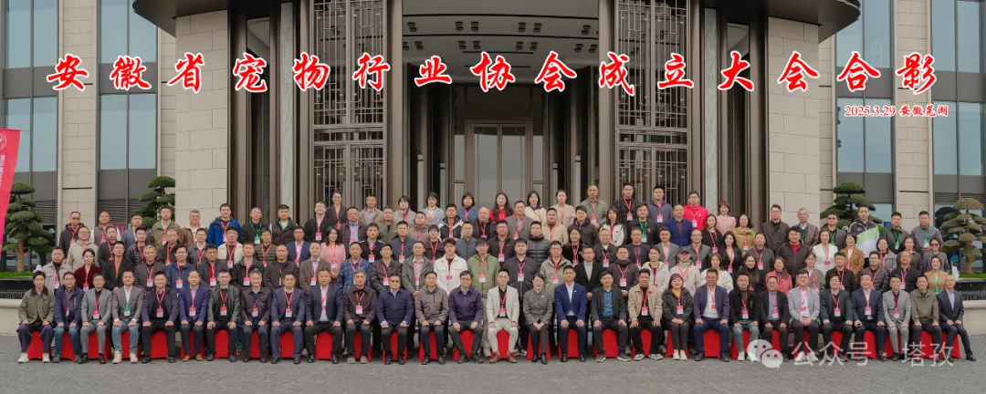 寵都平臺(tái)成為安徽省寵物行業(yè)協(xié)會(huì)理事單位，開啟寵物產(chǎn)業(yè)新征程